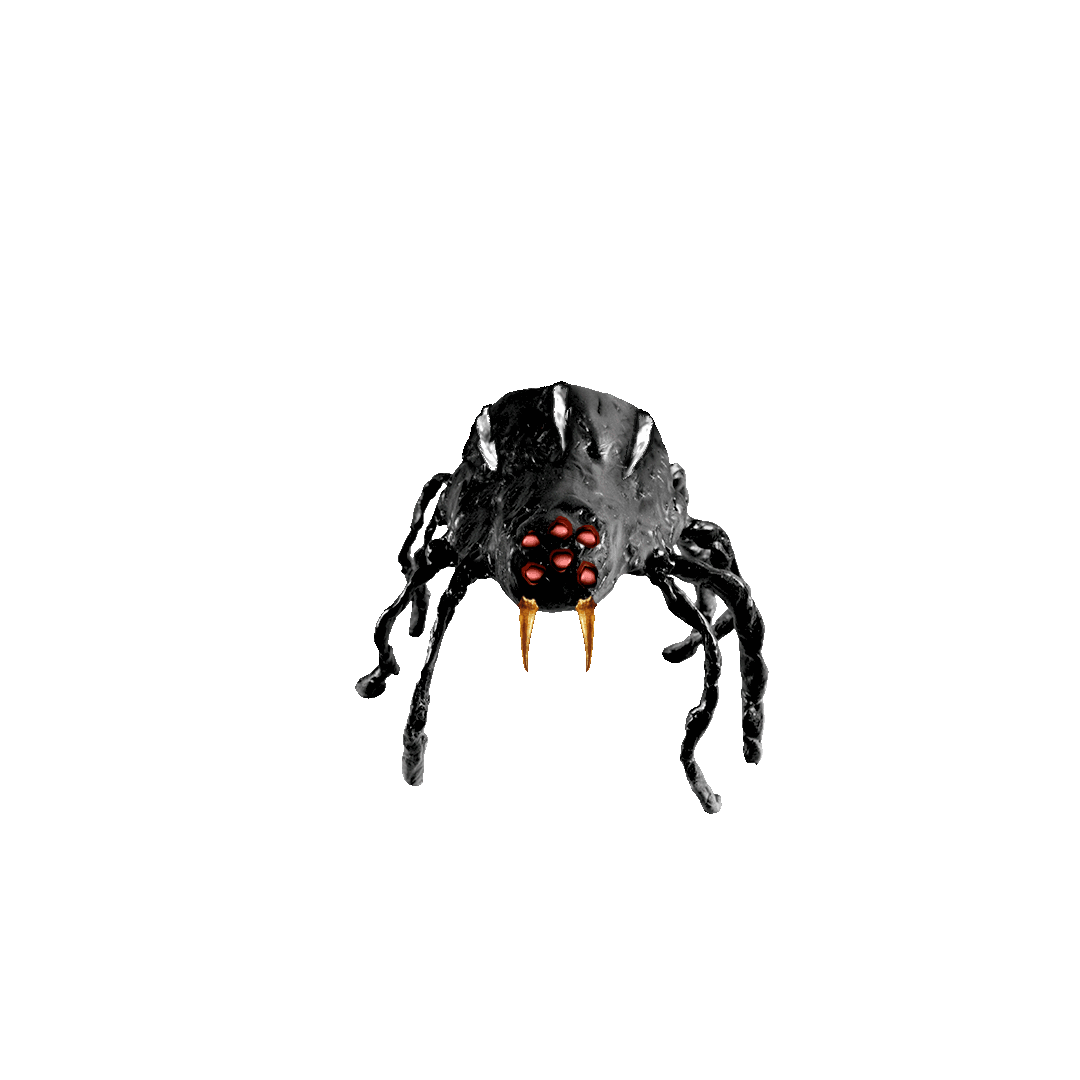 Spider