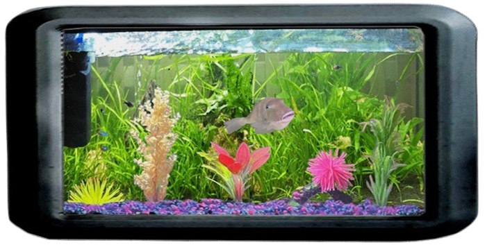Fishtank