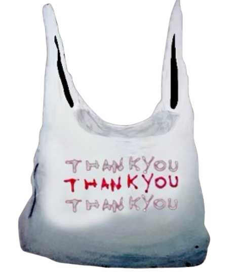 Thank You Bag